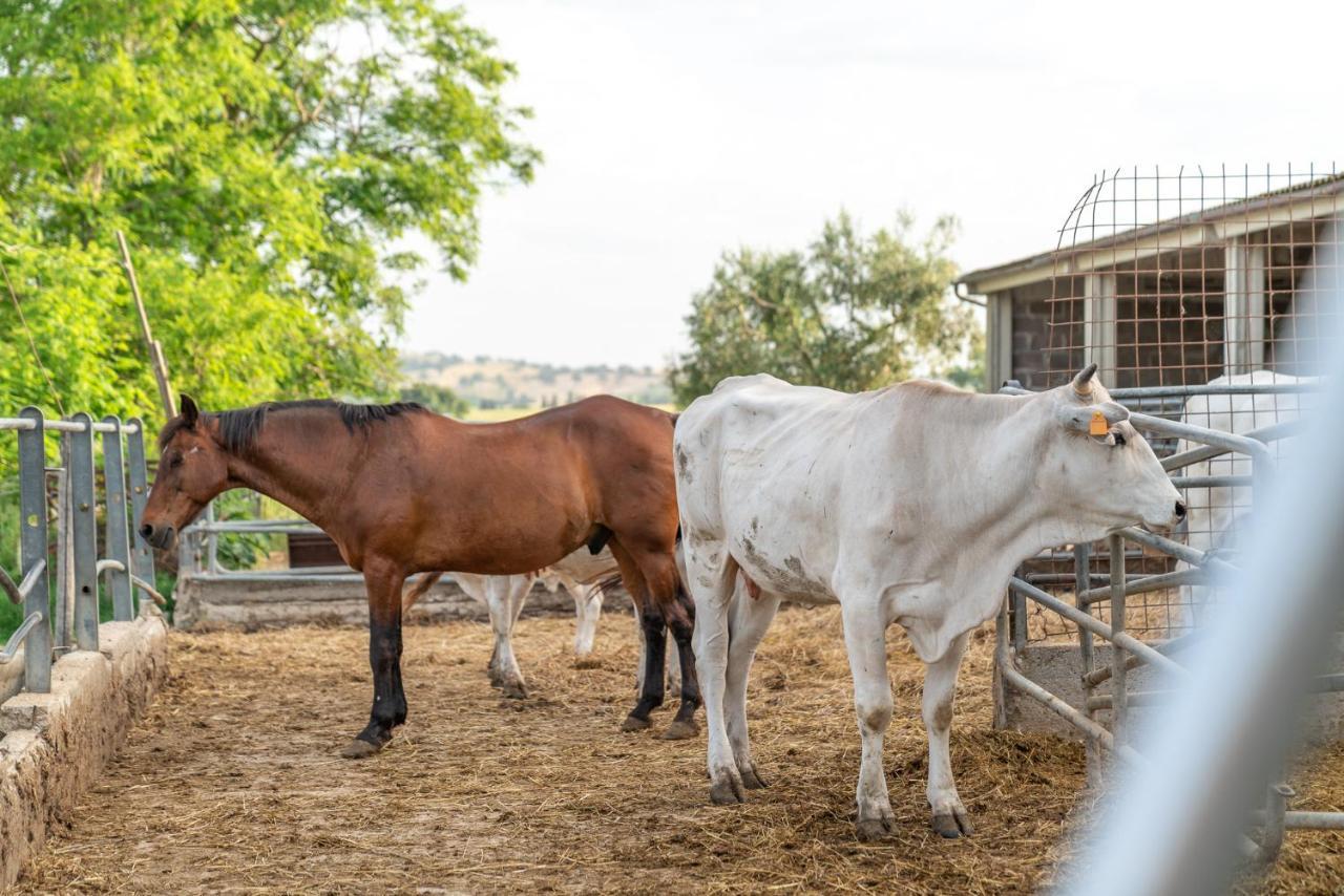 Agriturismo Al Girasole San Donato  Εξωτερικό φωτογραφία