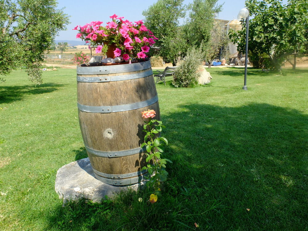 Agriturismo Al Girasole San Donato  Εξωτερικό φωτογραφία